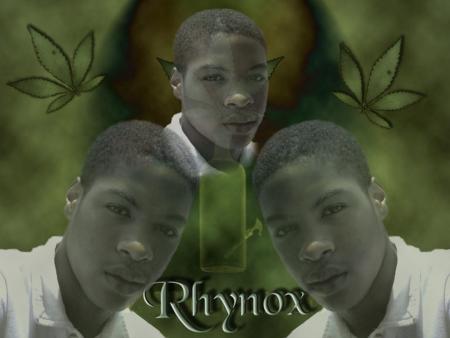 Rhynox